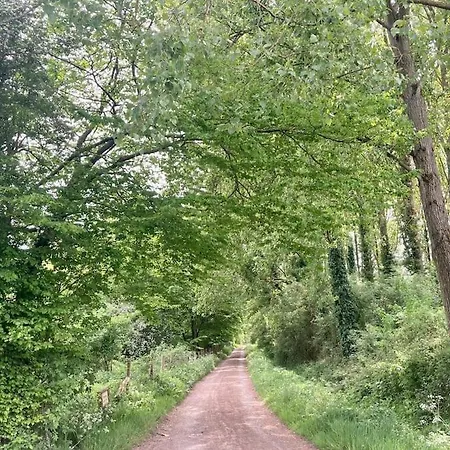 Au Bois D'epenin - Et بيت للعطل Beugin